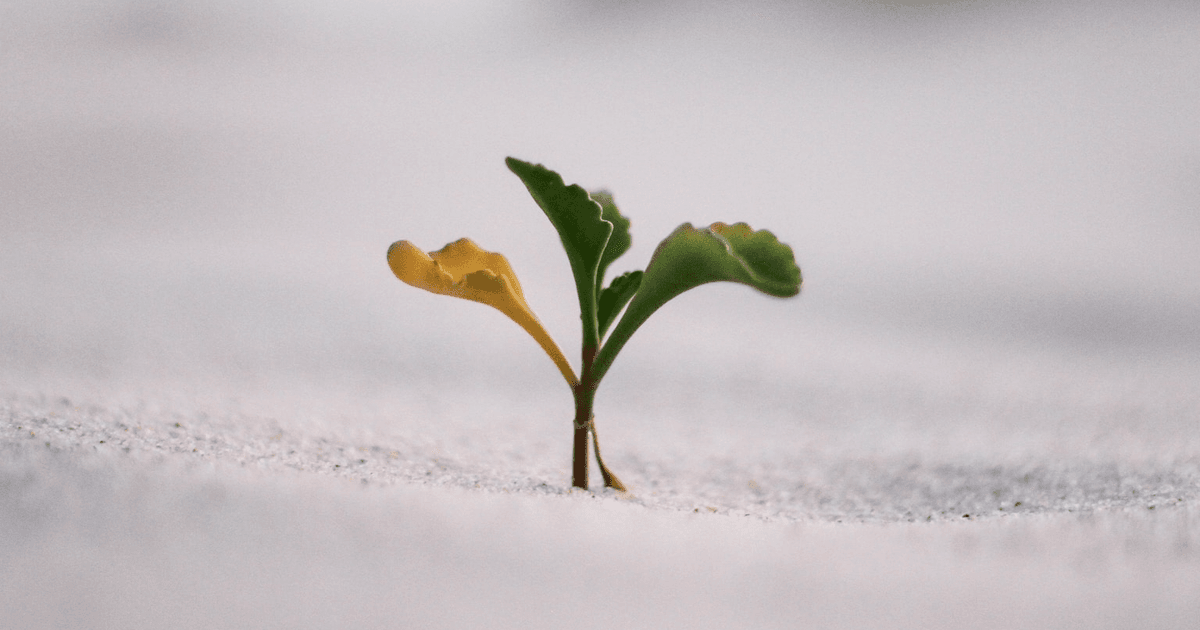 9 Website Metrics to Track for Growth thumbnail